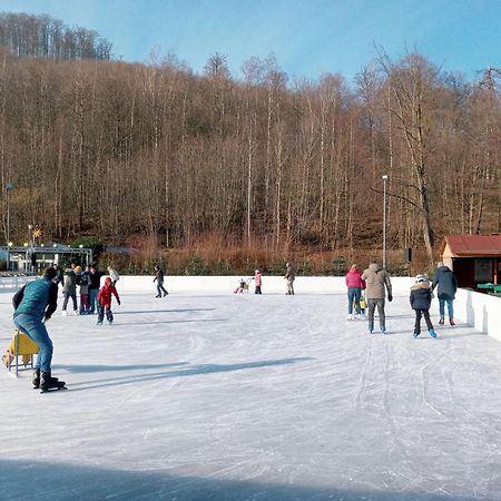 Fewo-Radau Bad Harzburg Exteriör bild