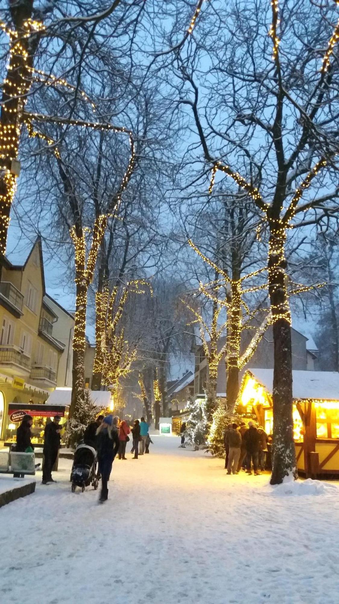 Fewo-Radau Bad Harzburg Exteriör bild