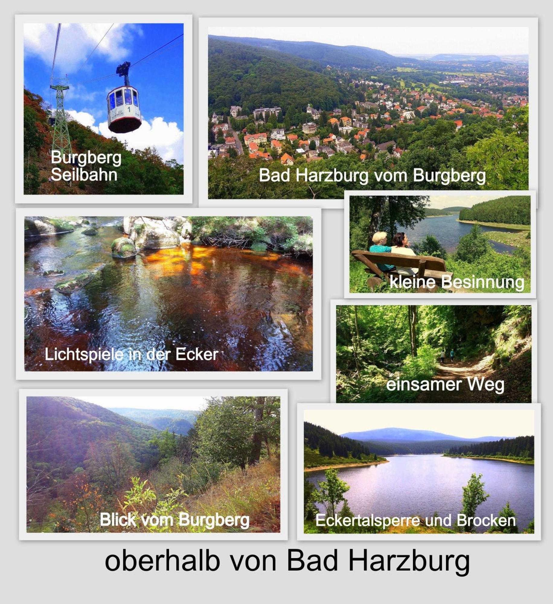 Fewo-Radau Bad Harzburg Exteriör bild