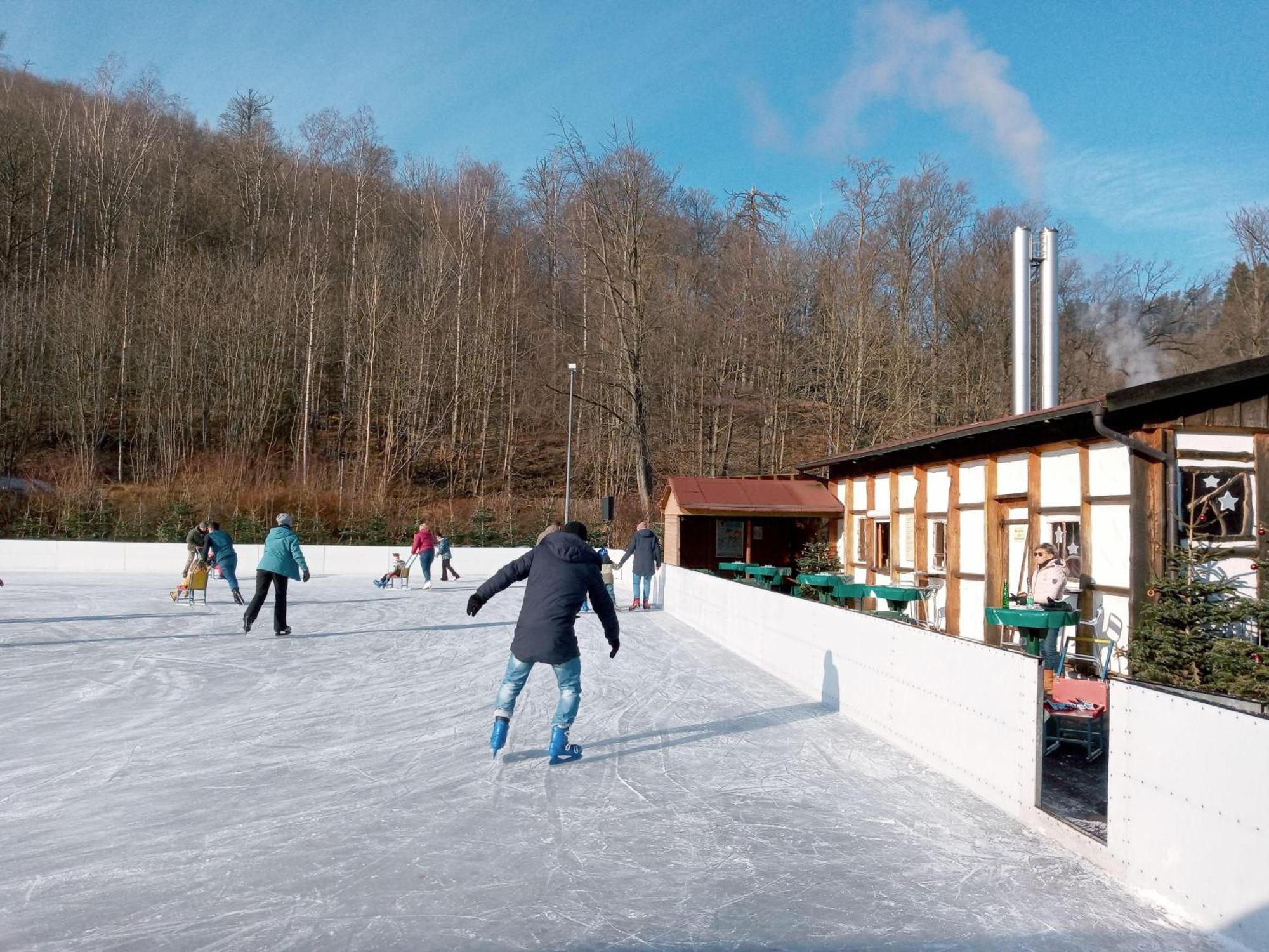 Fewo-Radau Bad Harzburg Exteriör bild